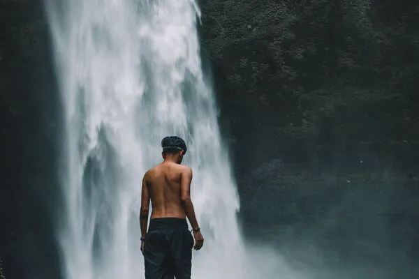 De prachtige natuur in Ubud