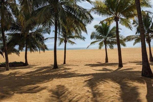 Colombo und Negombo - Tor zur Insel oder Goldi Sands