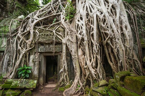Ta Prohm