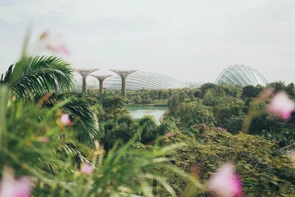 海湾花园