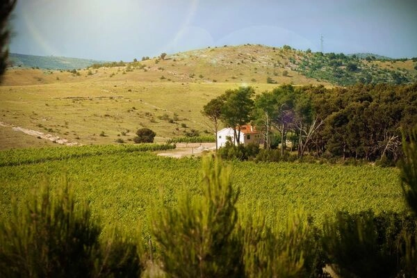 Bodega Testamento