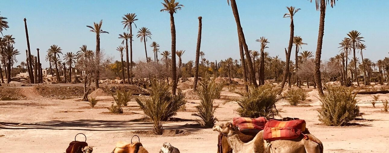 Hoteles boutique en Marruecos