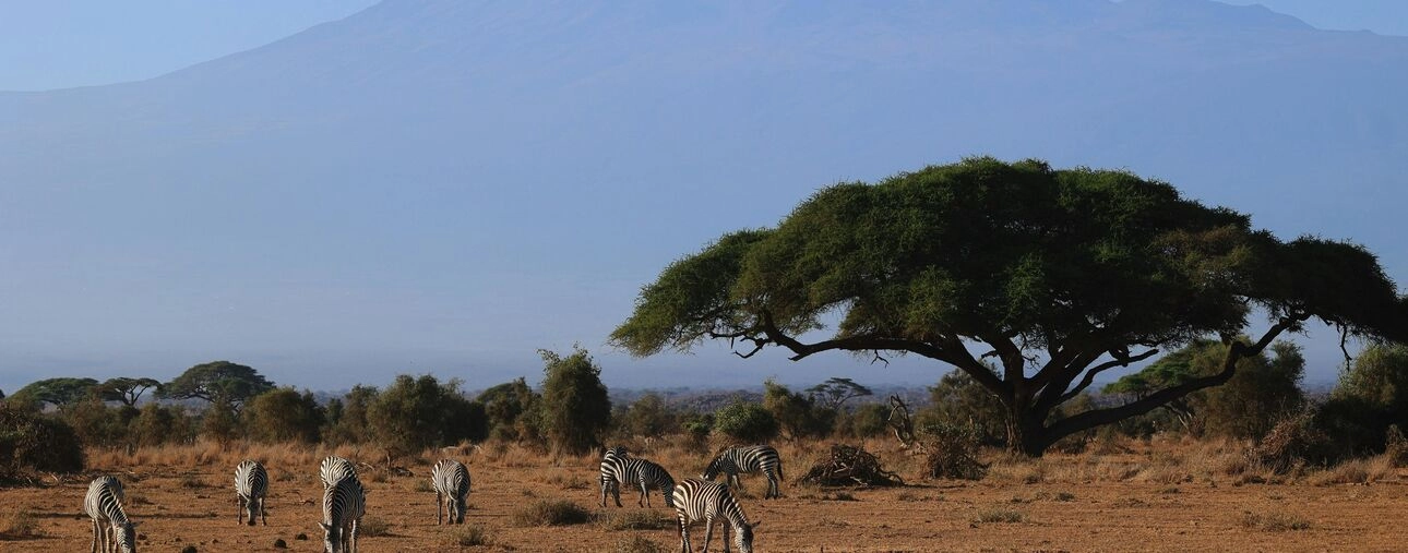 Boutique hotels in Kenya