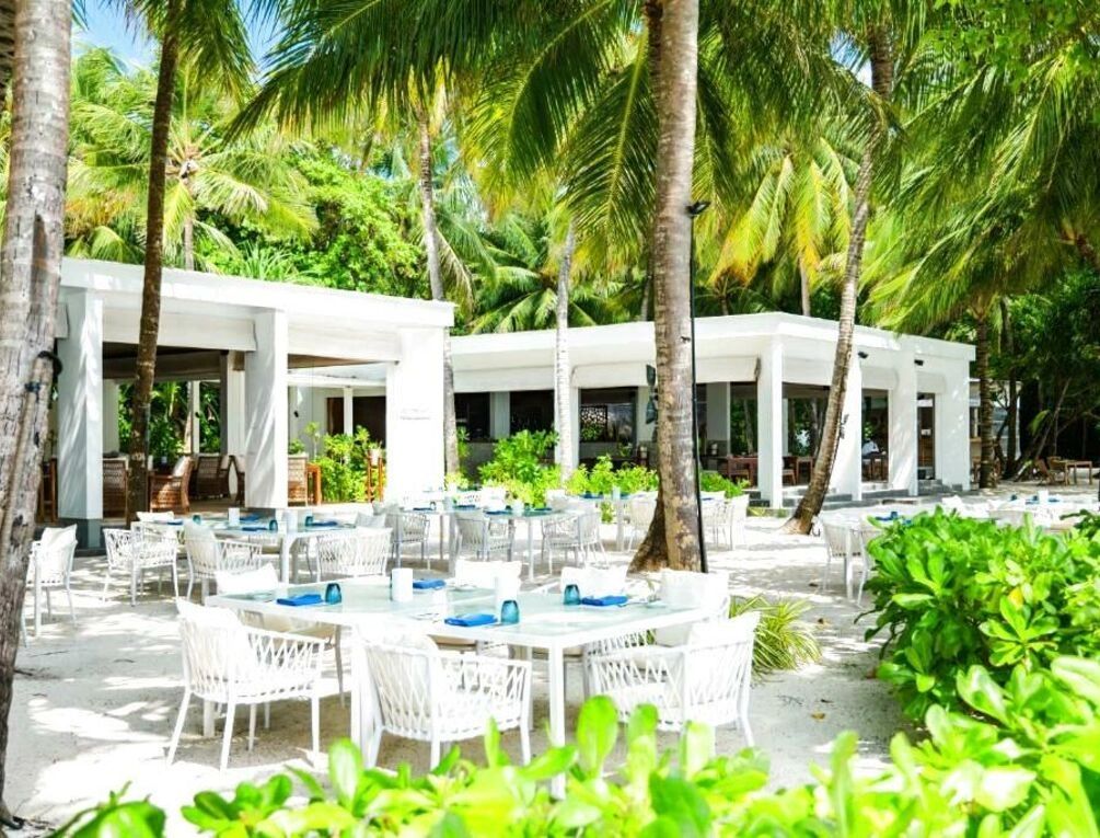Afbeelding gerelateerd aan Amilla Maldives
