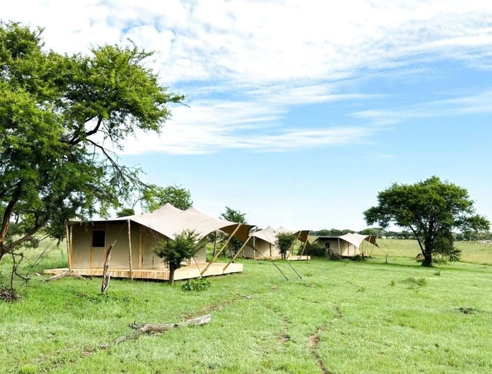 Afbeelding gerelateerd aan Anantya Serengeti