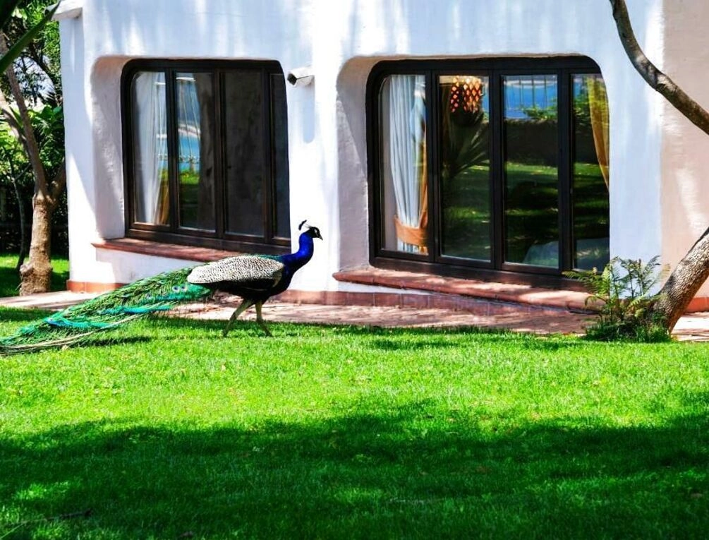 Afbeelding gerelateerd aan Arbatax Park Resort - Ville del Parco