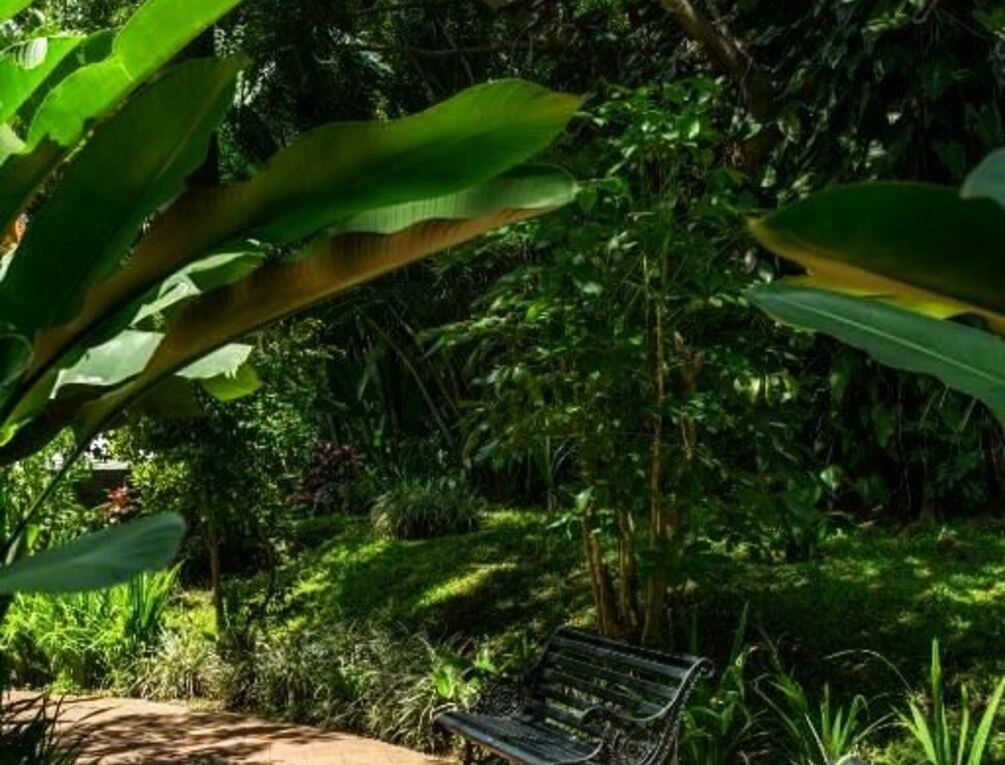 Afbeelding gerelateerd aan Barceló San José