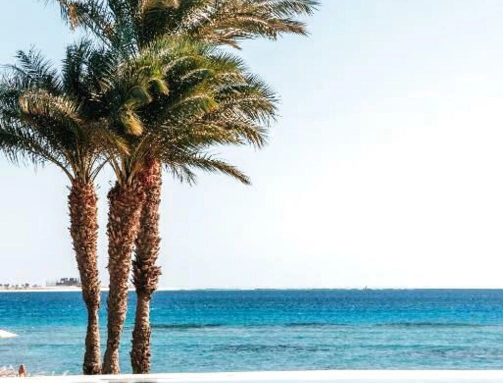 Afbeelding gerelateerd aan Baron Palace Sahl Hasheesh