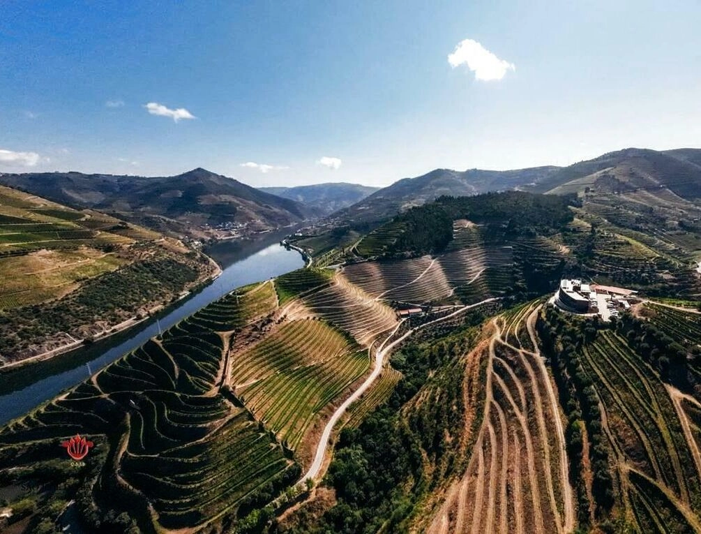 Afbeelding gerelateerd aan Barrilario Douro Wine Hotel e Spa - Quinta São Jose do Barrilario