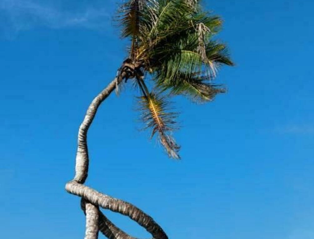 Afbeelding gerelateerd aan Be Zanzibar Boutique Hotel