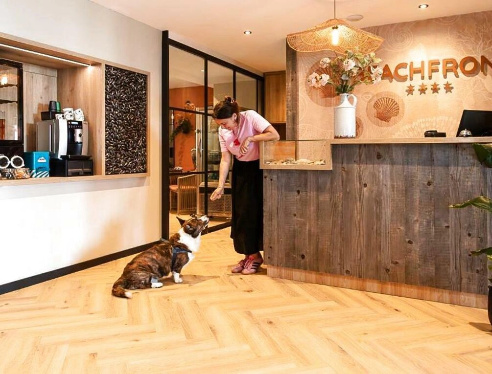 Afbeelding gerelateerd aan Beachfront Boutiquehotel