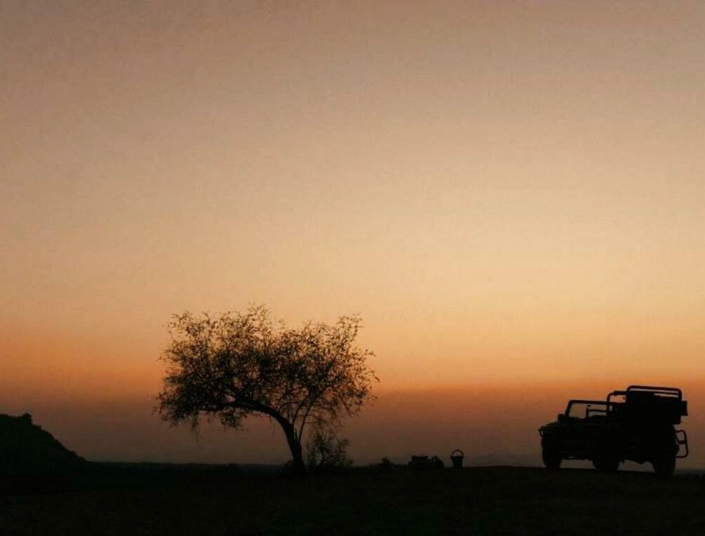 Afbeelding gerelateerd aan Brij Pola, Jawai - Luxury Jungle Camp with Private Pools