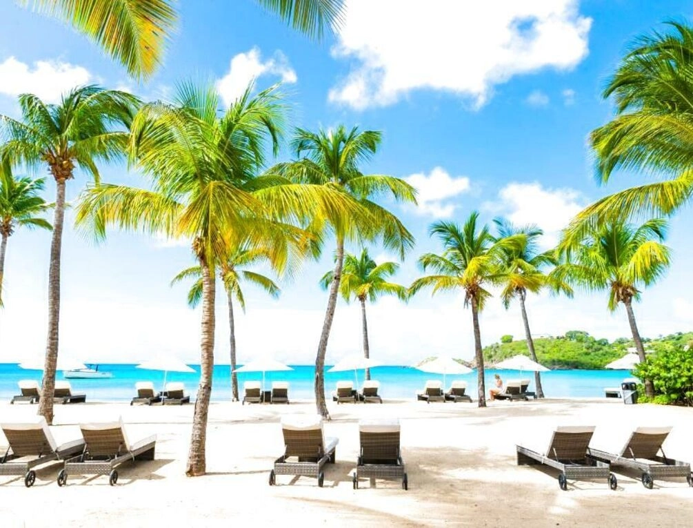 Afbeelding gerelateerd aan Carlisle Bay