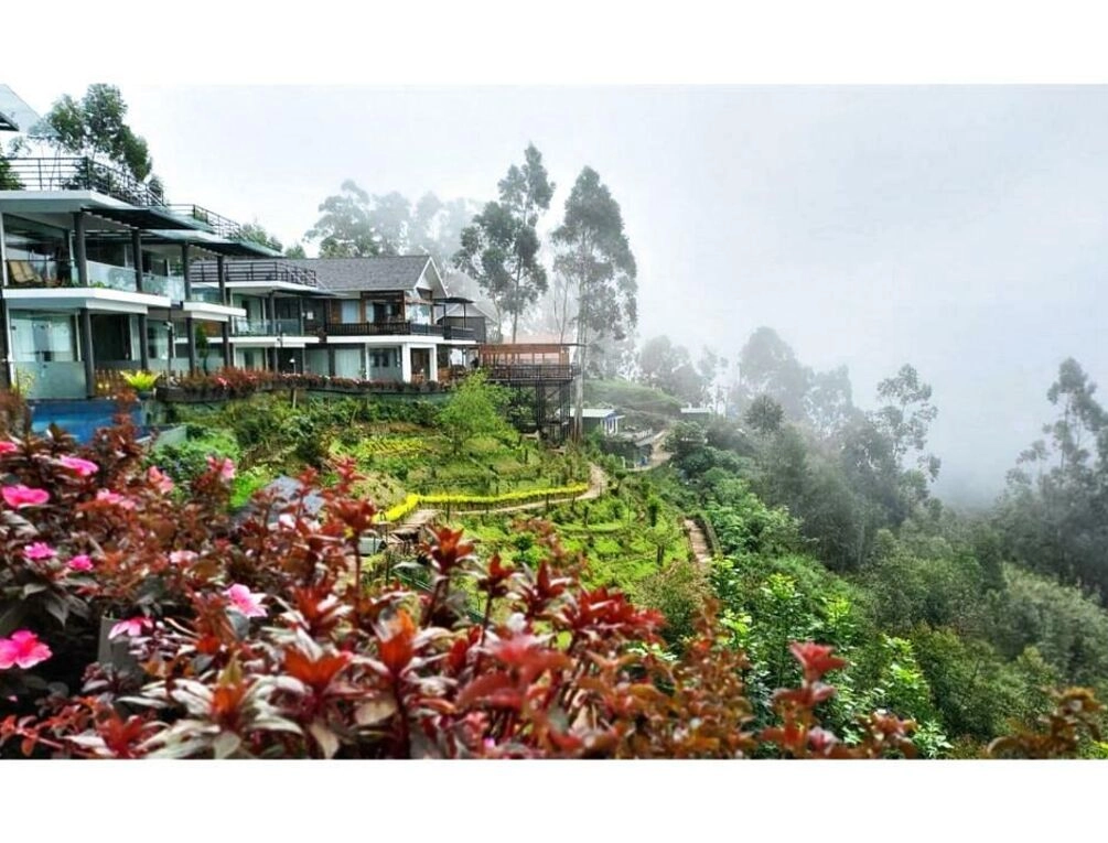 Afbeelding gerelateerd aan Chandys Drizzle Drops - Munnar Top Station