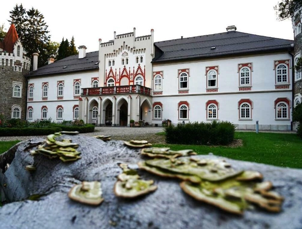 Afbeelding gerelateerd aan Chateau Herálec Boutique Hotel & Spa by L'Occitane