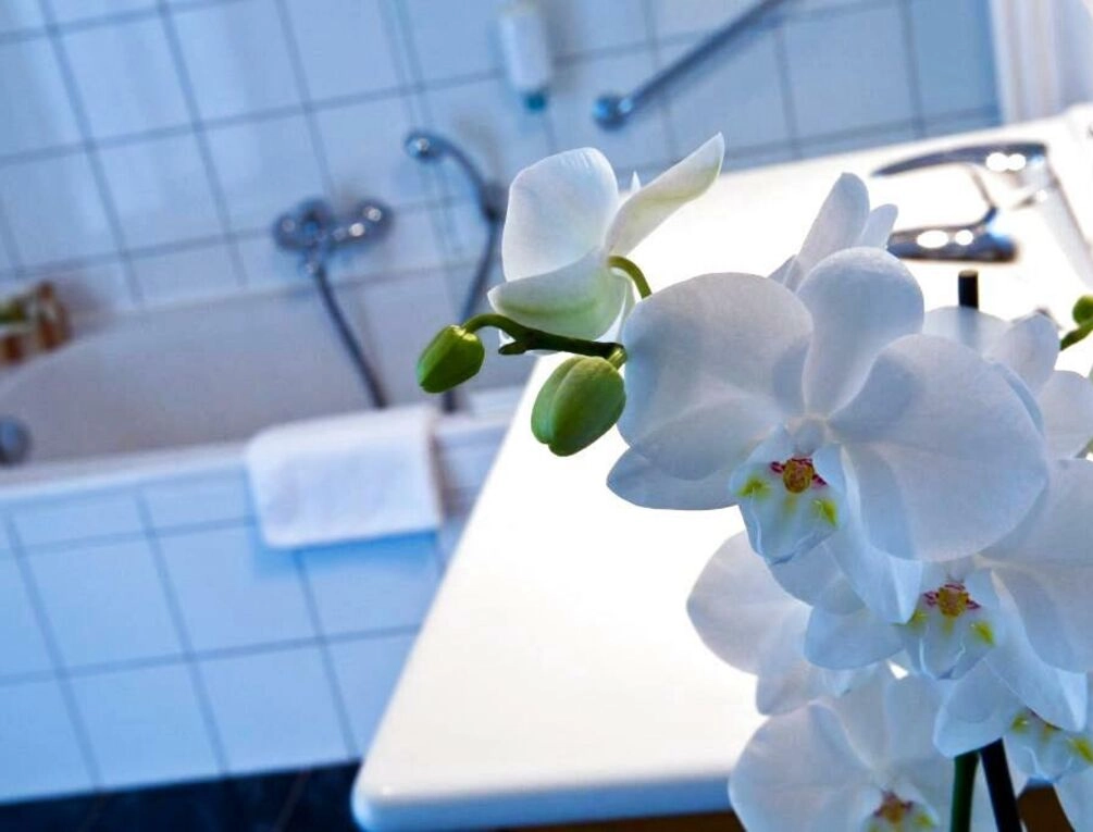 Afbeelding gerelateerd aan Cocoon Hotel Belair