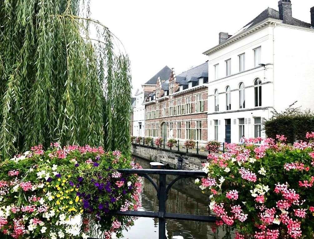 Afbeelding gerelateerd aan Comic Art Hotel