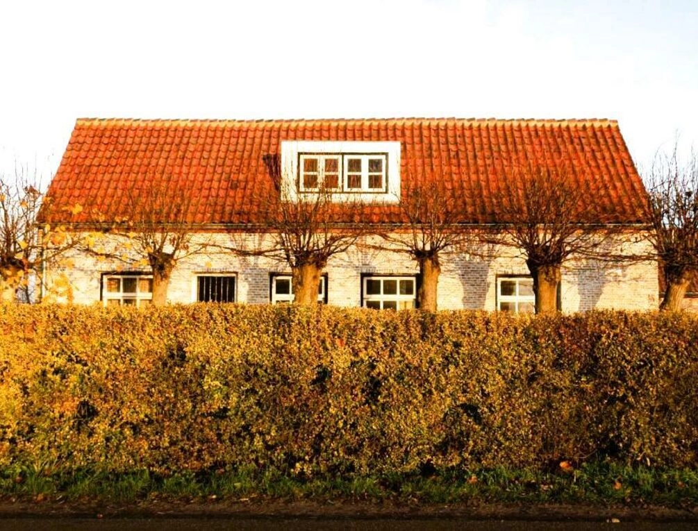 Afbeelding gerelateerd aan De 6 Linden Boutique Hotel
