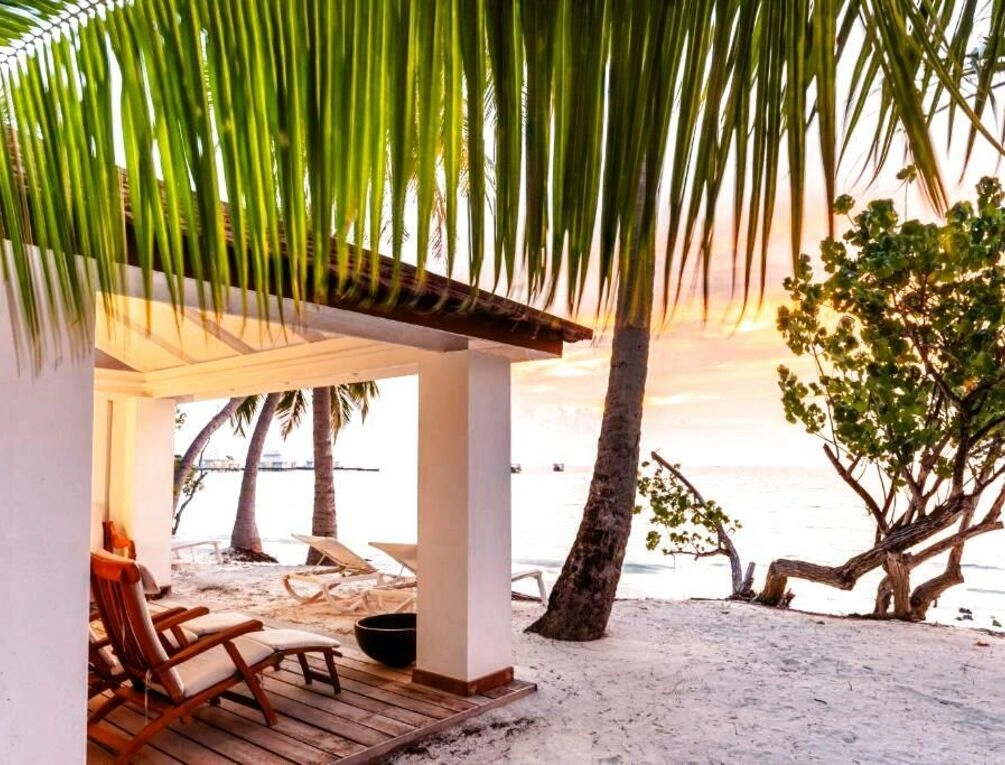 Afbeelding gerelateerd aan Diamonds Athuruga Maldives Resort & Spa