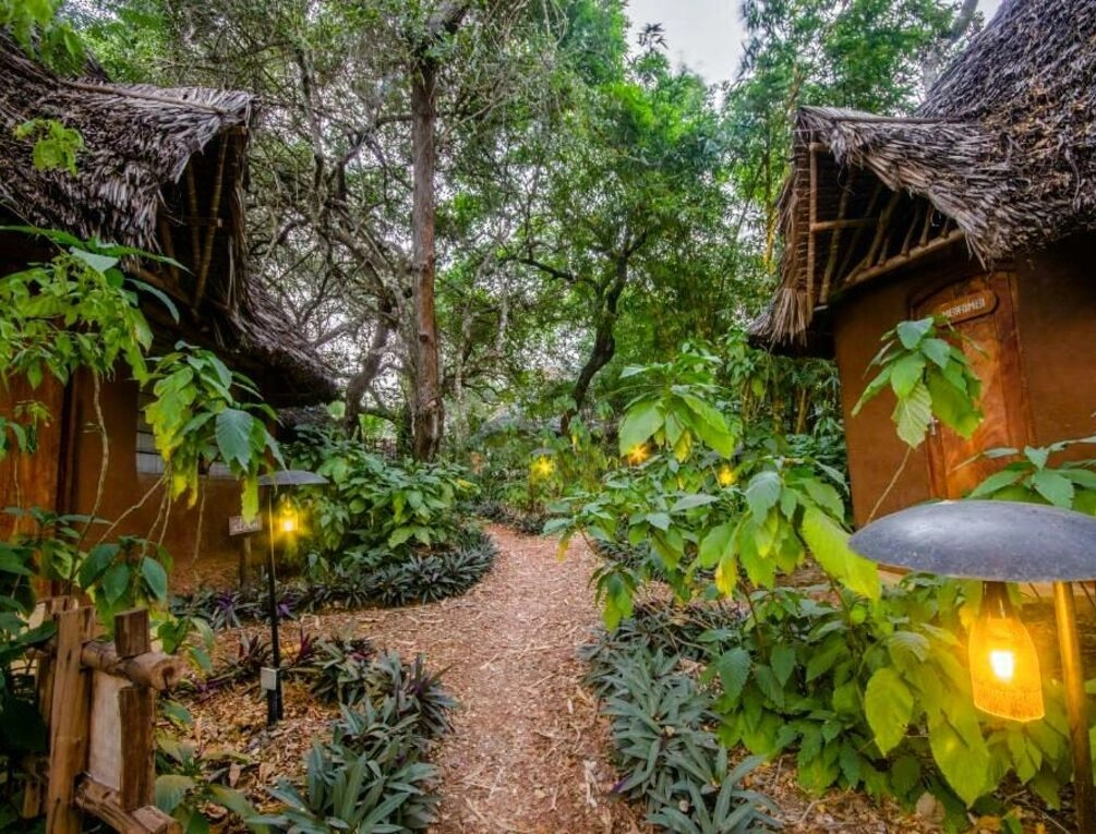 Afbeelding gerelateerd aan Distant Relatives Ecolodge & Backpackers