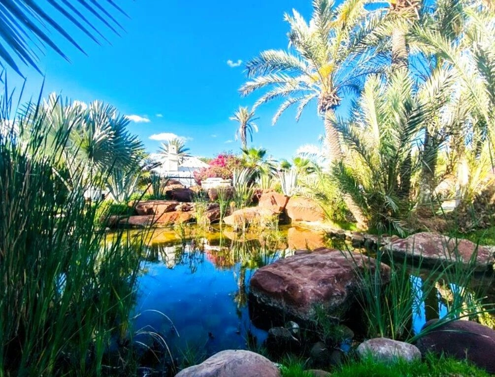 Afbeelding gerelateerd aan Eden Lodges & SPA