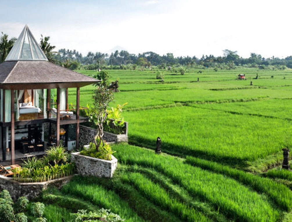 Afbeelding gerelateerd aan Gdas Bali Health and Wellness Resort