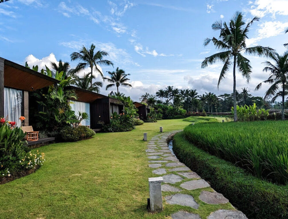 Afbeelding gerelateerd aan Gdas Bali Health and Wellness Resort