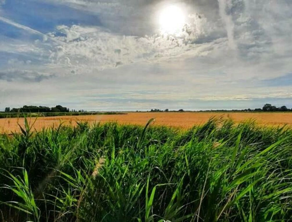 Afbeelding gerelateerd aan Hoeve De Hemel
