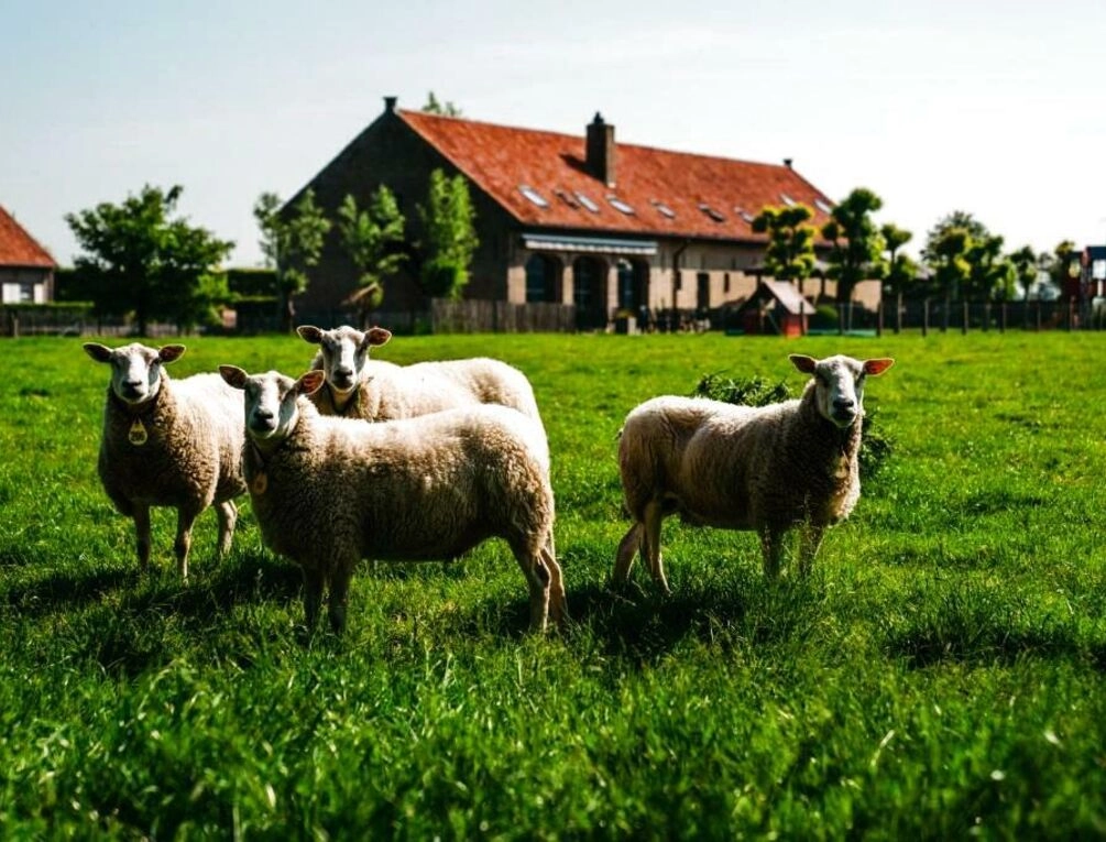 Afbeelding gerelateerd aan hoevehotel ter haeghe