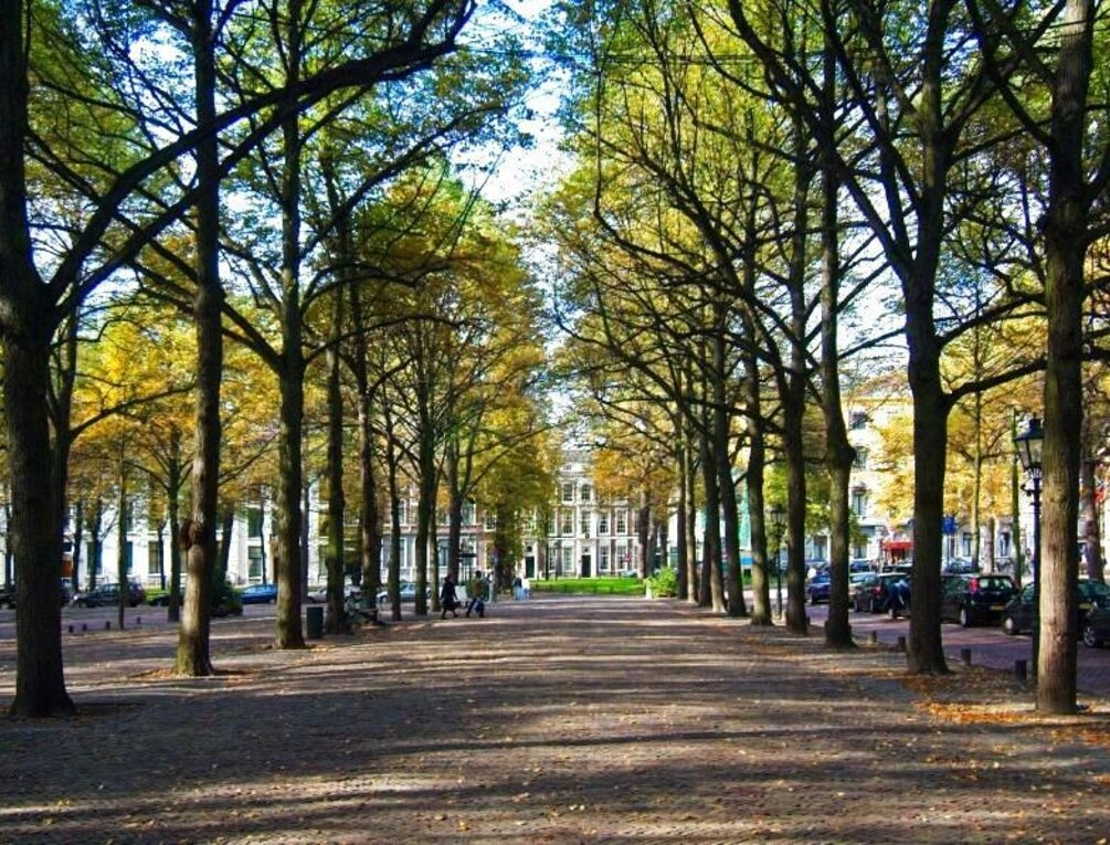 Afbeelding gerelateerd aan Hotel Des Indes The Hague