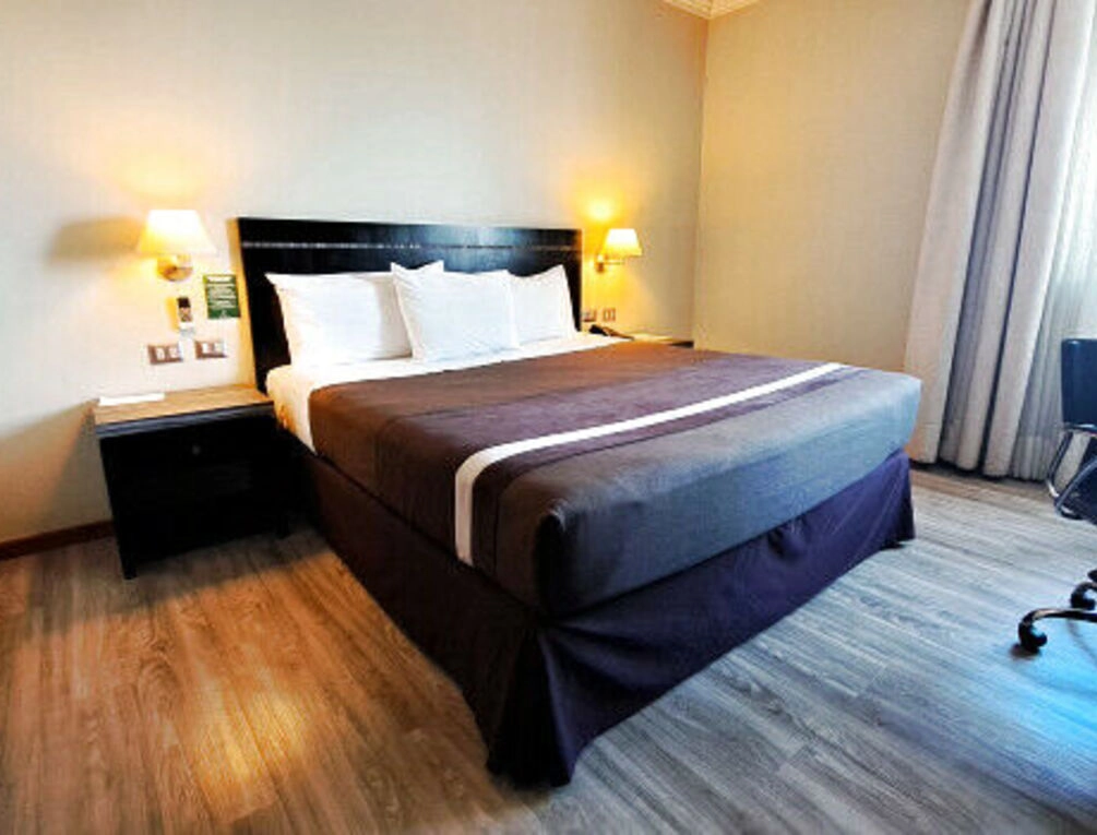Afbeelding gerelateerd aan Hotel Diego de Almagro Chillan