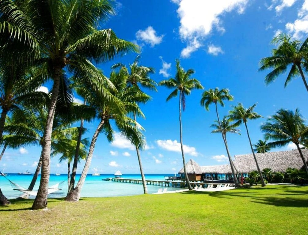 Afbeelding gerelateerd aan Hotel Kia Ora Resort & Spa