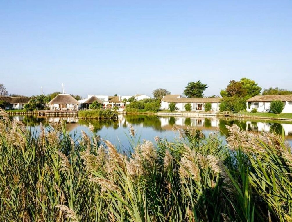 Afbeelding gerelateerd aan Hôtel L' Estelle en Camargue