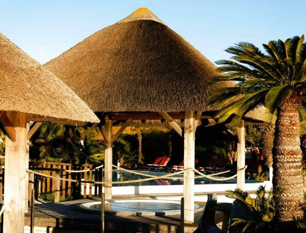 Afbeelding gerelateerd aan Hôtel L' Estelle en Camargue