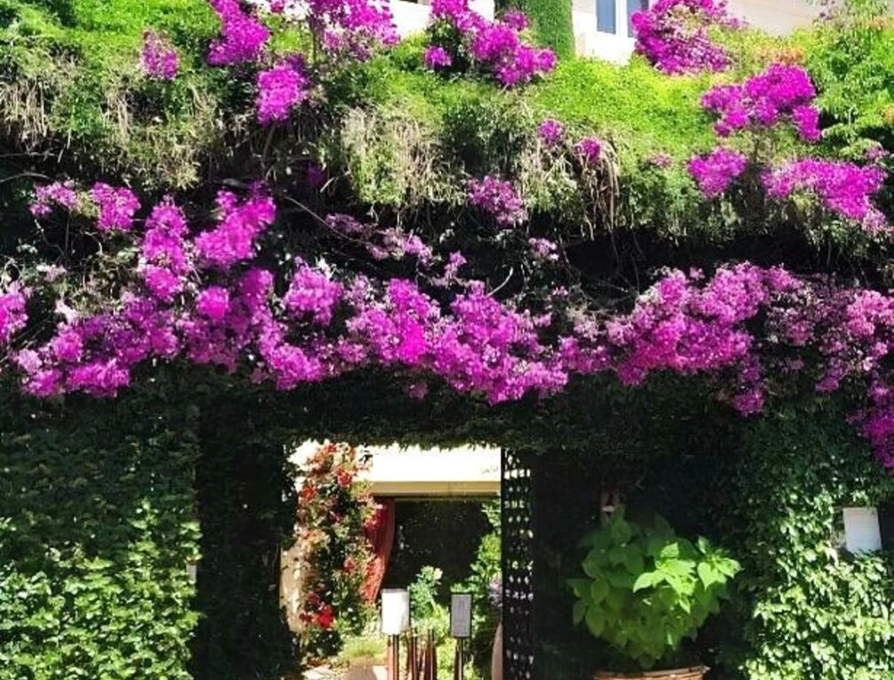 Afbeelding gerelateerd aan Hôtel La Villa Sainte Valérie Adults Only