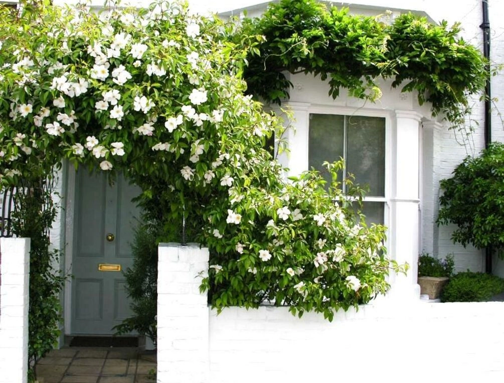 Afbeelding gerelateerd aan Hurlingham Bed and Breakfast