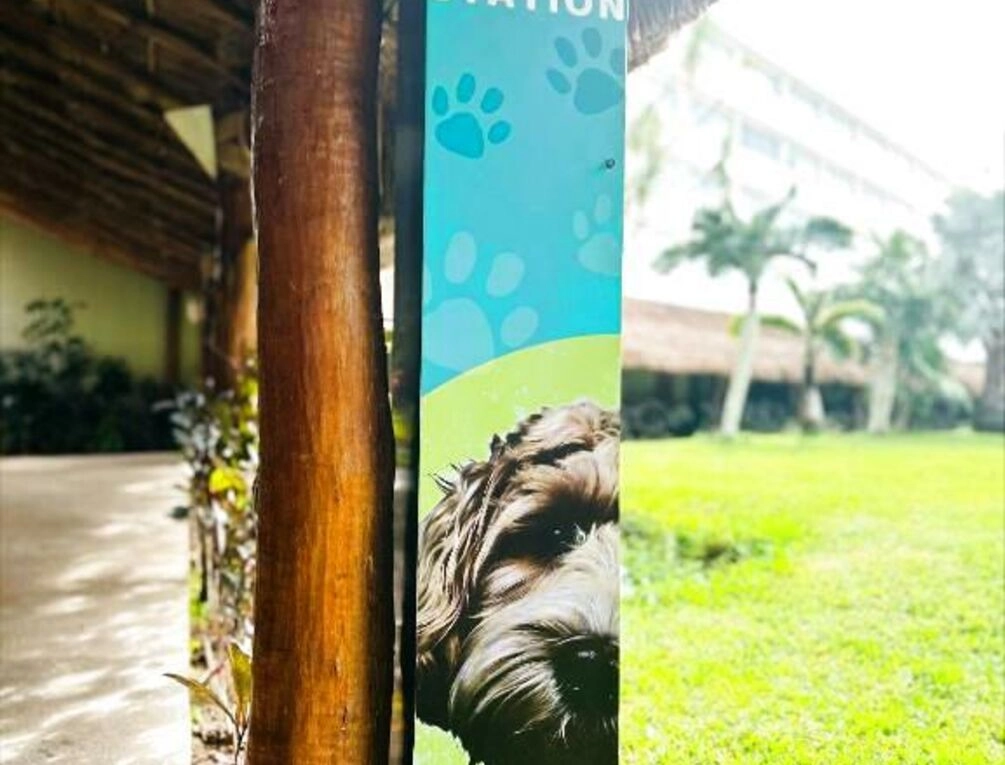 Afbeelding gerelateerd aan InterContinental Presidente Cancun Resort