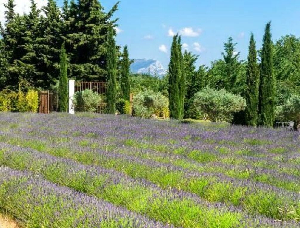 Afbeelding gerelateerd aan La Bastide de Damien, 5 clefs Demeure d'Exception et Table Remarquable dans le guide Teritoria, JACUZZI Privatif, Cuisine étoilée Dominique Frérard