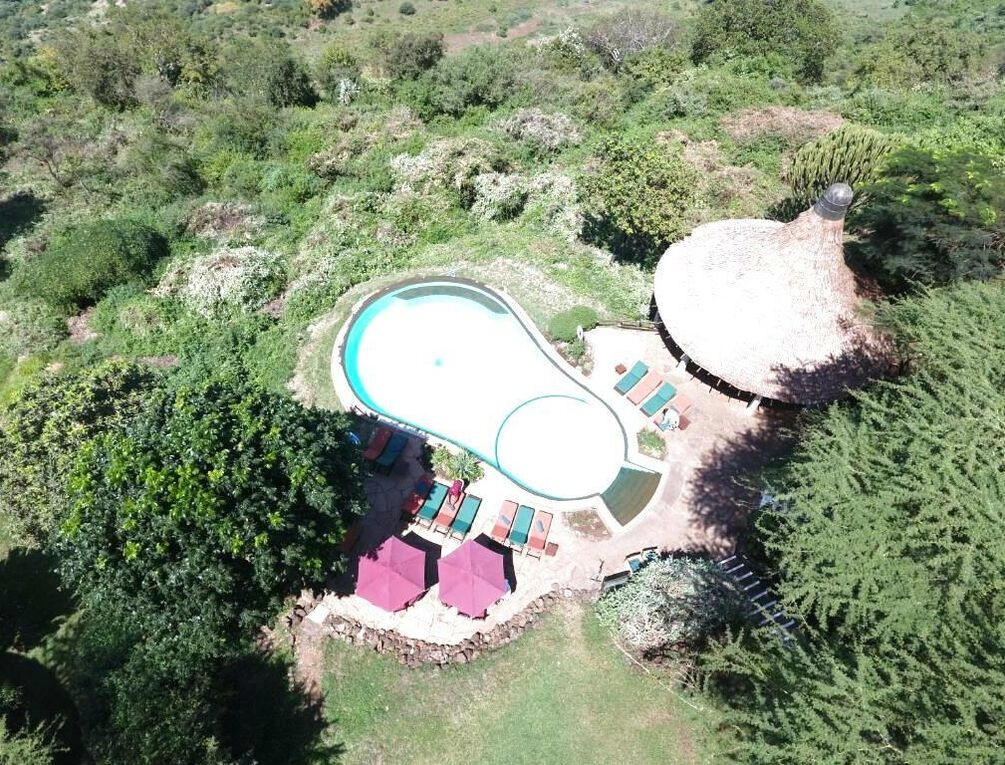 Afbeelding gerelateerd aan Lake Manyara Serena Safari Lodge