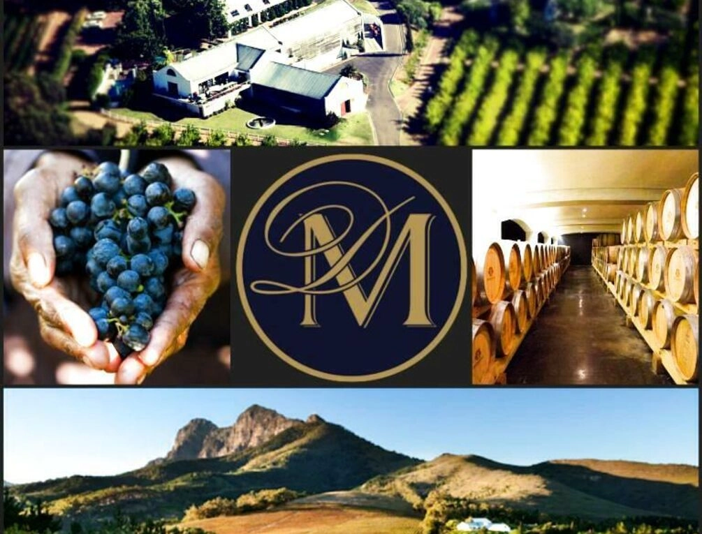Afbeelding gerelateerd aan Marianne Wine Estate