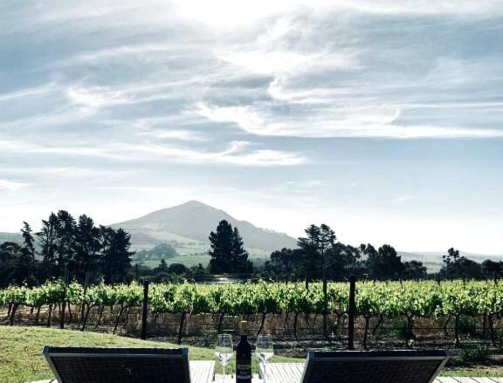 Afbeelding gerelateerd aan Marianne Wine Estate