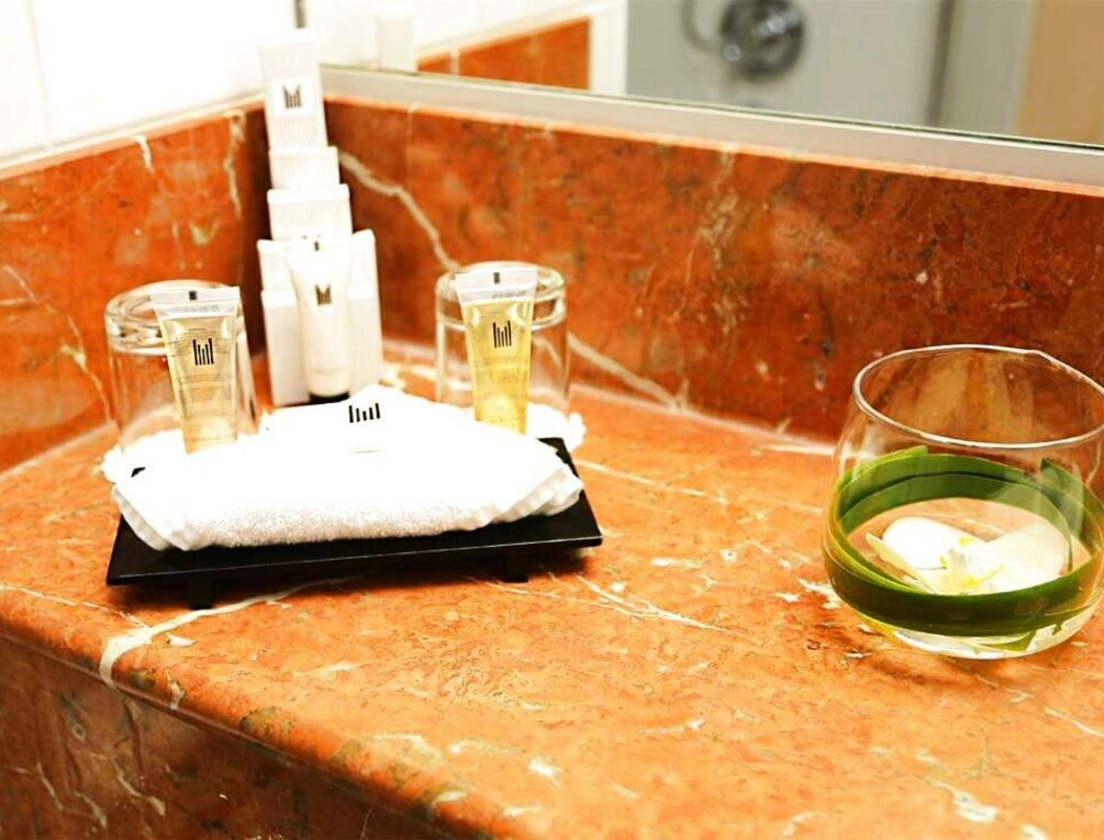 Afbeelding gerelateerd aan Millennium Hotel Paris Charles De Gaulle
