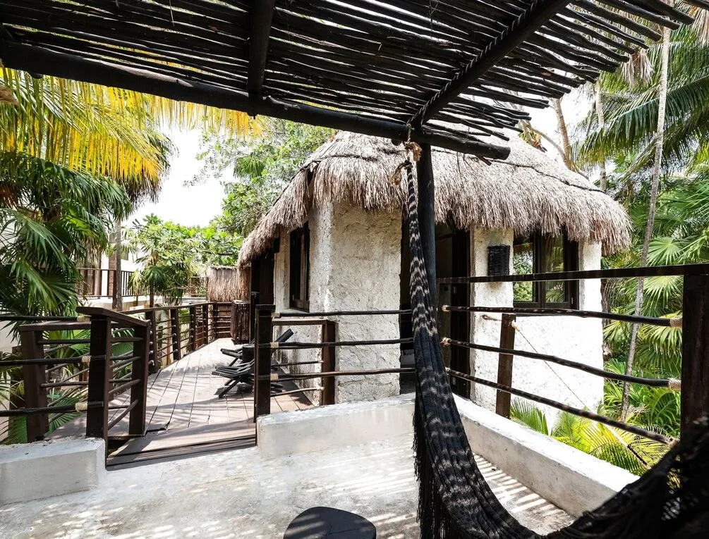 Afbeelding gerelateerd aan NEST Tulum