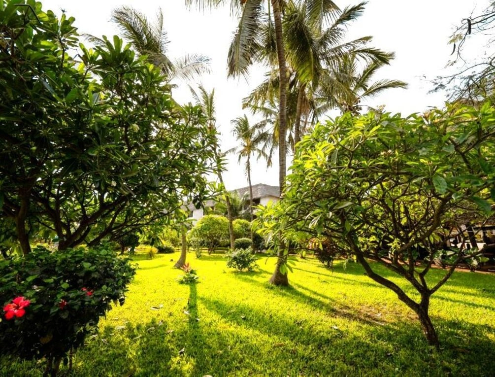 Afbeelding gerelateerd aan Nungwi Beach Resort by Turaco