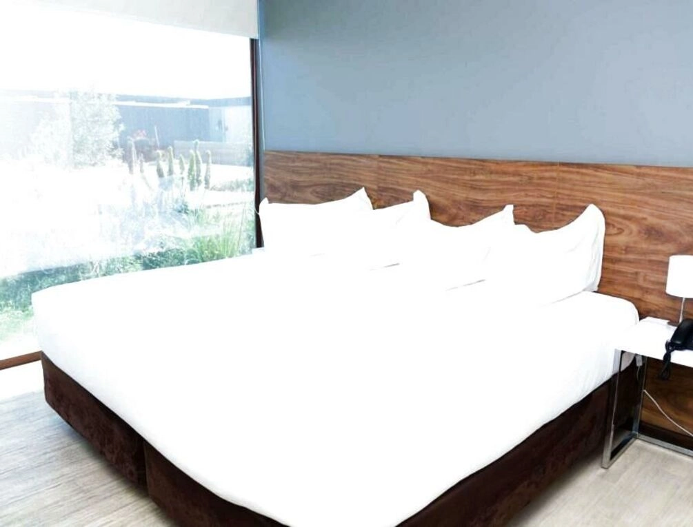 Afbeelding gerelateerd aan Park Inn by Radisson Los Olivos de Vallenar
