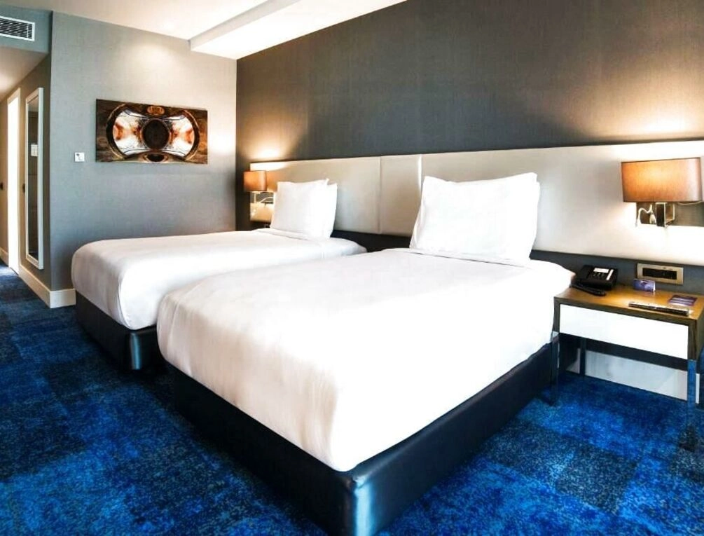 Afbeelding gerelateerd aan Radisson Blu Hotel, Kayseri