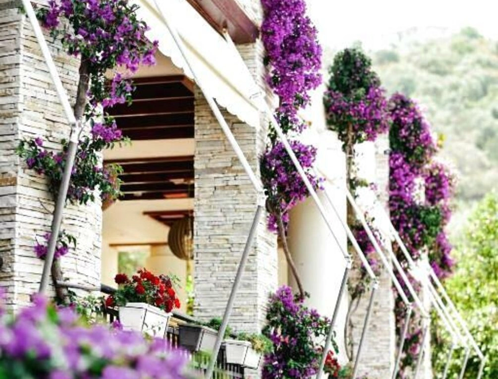 Afbeelding gerelateerd aan Rapo's Resort Hotel