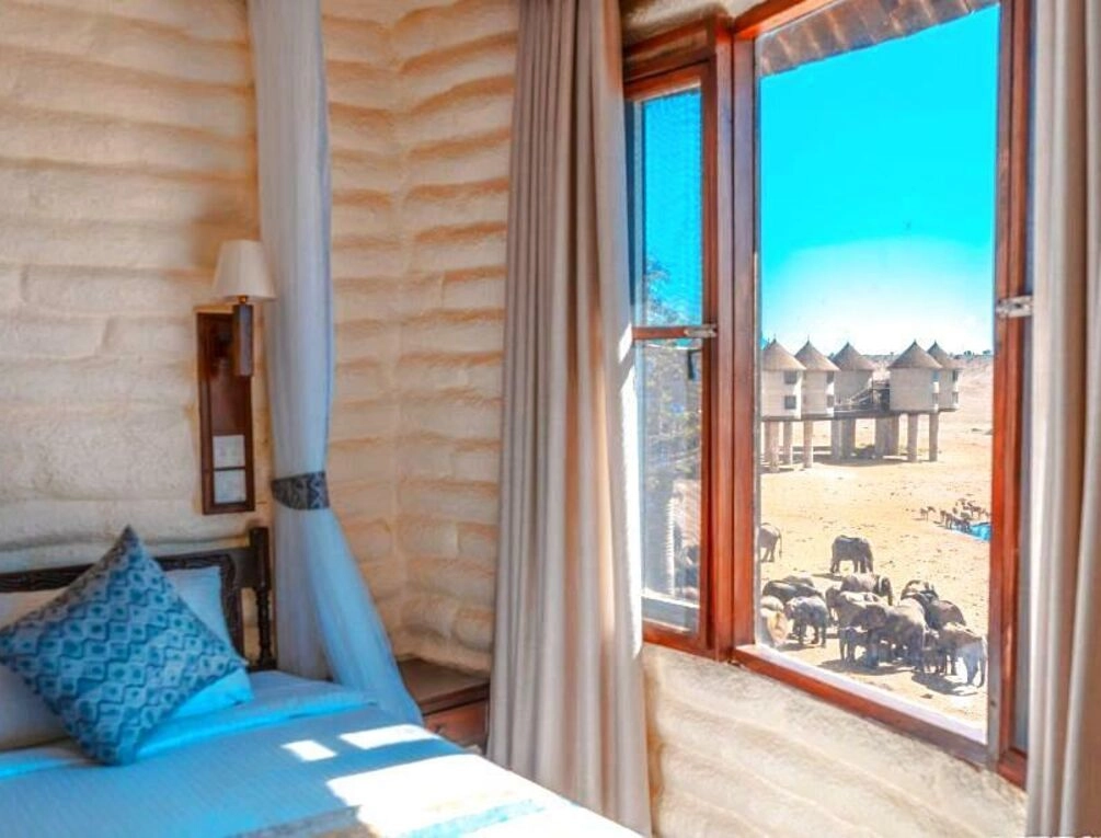 Afbeelding gerelateerd aan Salt Lick Safari Lodge
