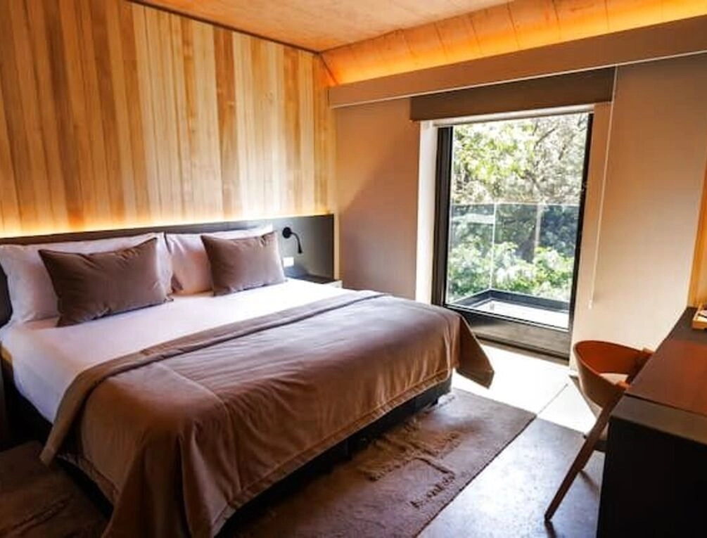 Afbeelding gerelateerd aan Sheraton Mendoza Hotel