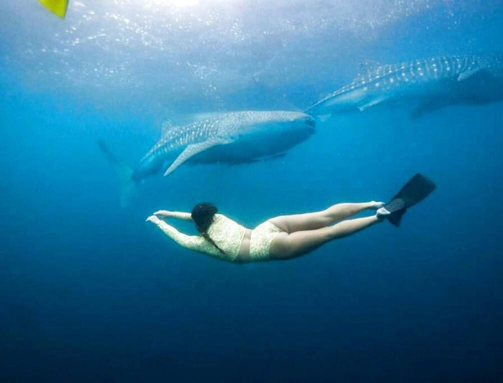 Afbeelding gerelateerd aan Somewhere Lombok